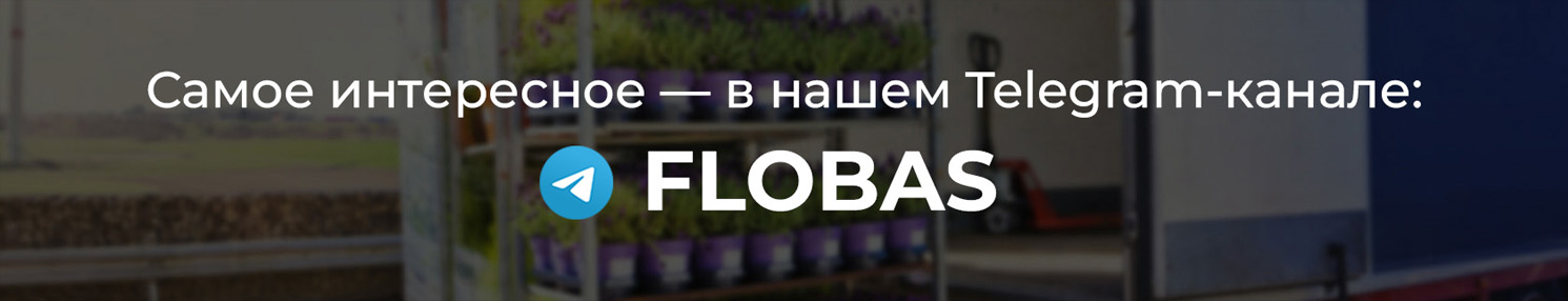 Mqvbglehp1m4cxcpt2pb03uc8jn5a3s7